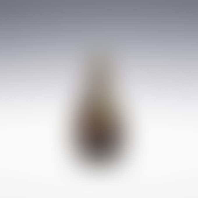 BUTTERFLY AND CROCUS VASE (preview)