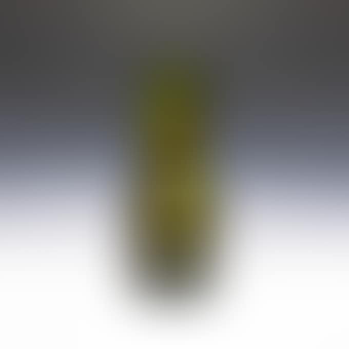 INSECT IN PLANE TREE VASE (preview)