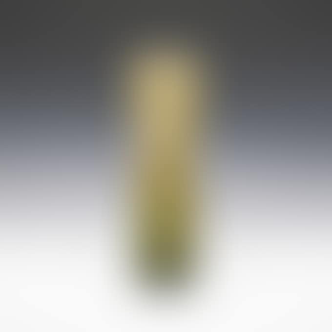 PRIMROSE VASE (preview)