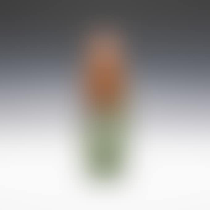 CARNATION VASE (preview)