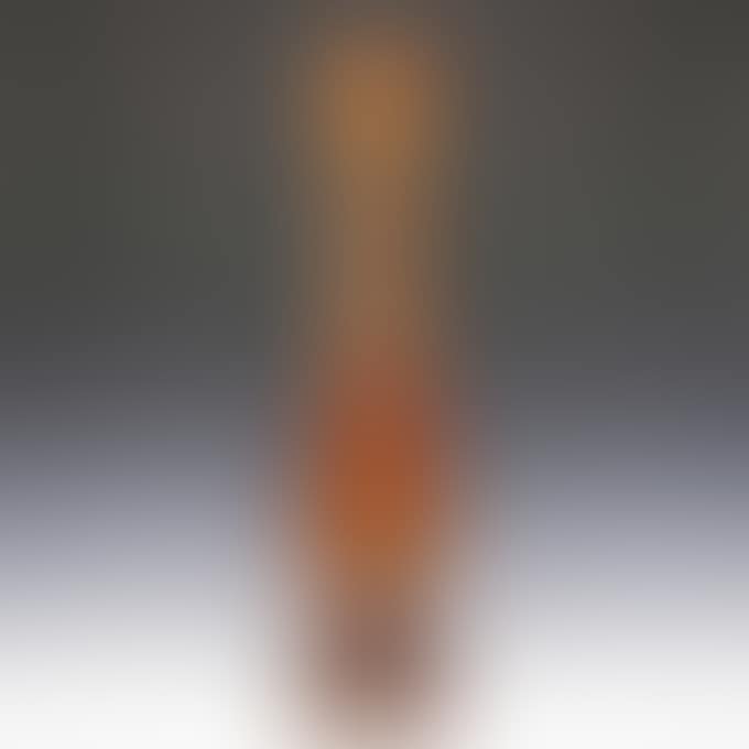 AUTUMNAL LEAVES VASE (preview)