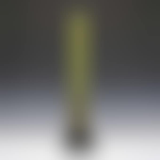WILD FLOWER VASE (preview)
