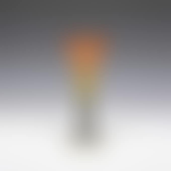 WINTER SCAPE VASE (preview)