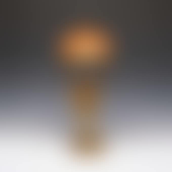 BUTTERFLY AND FEMALE TABLE LAMP (preview)