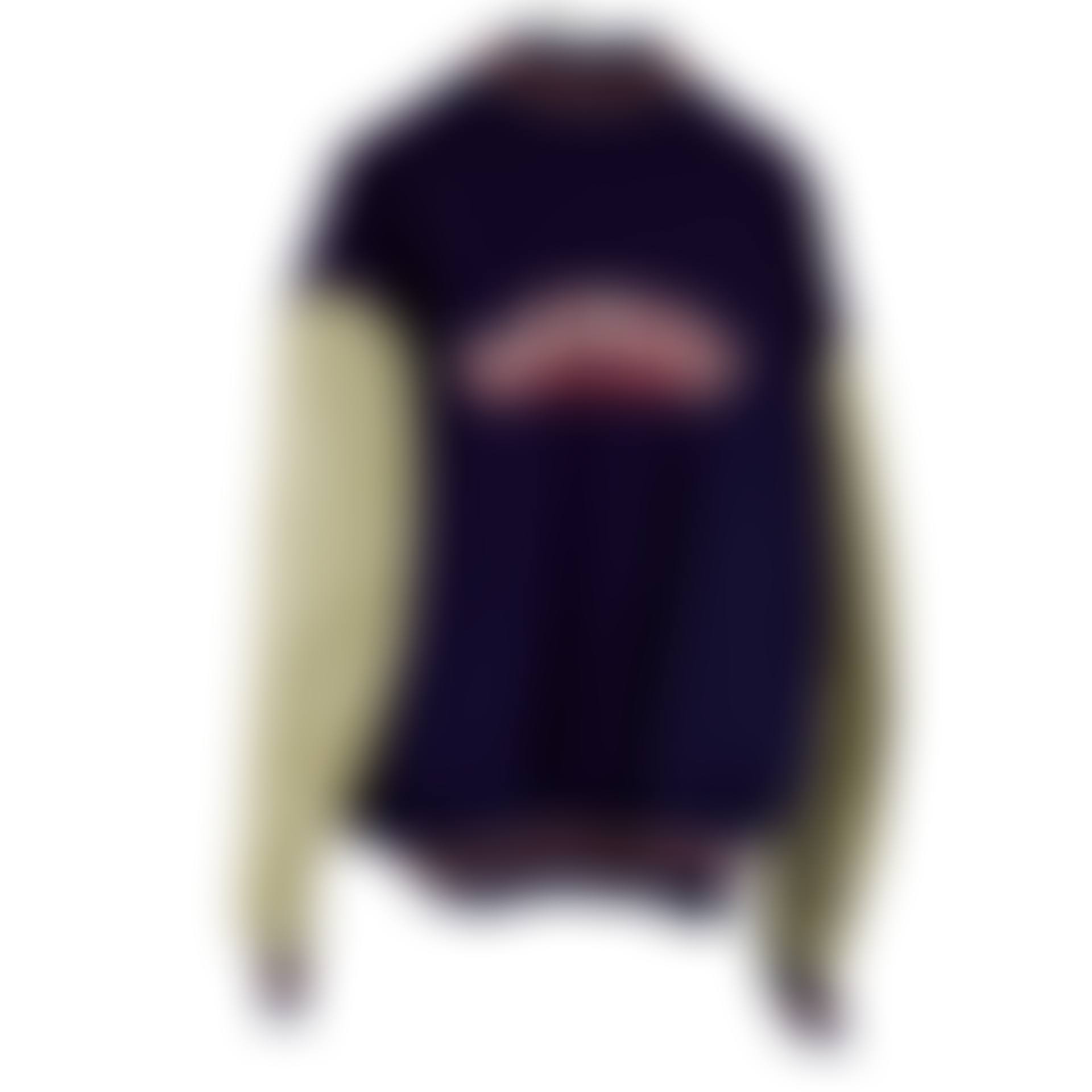 Blue, white, and red bomber jacket with white sleeves (preview)