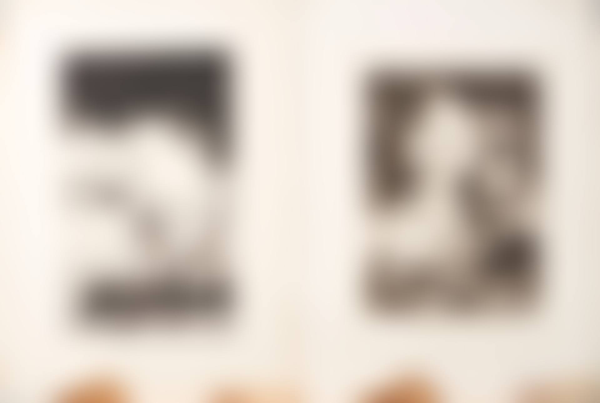 Three etchings from the World's Columbian Exposition, Chicago (preview)