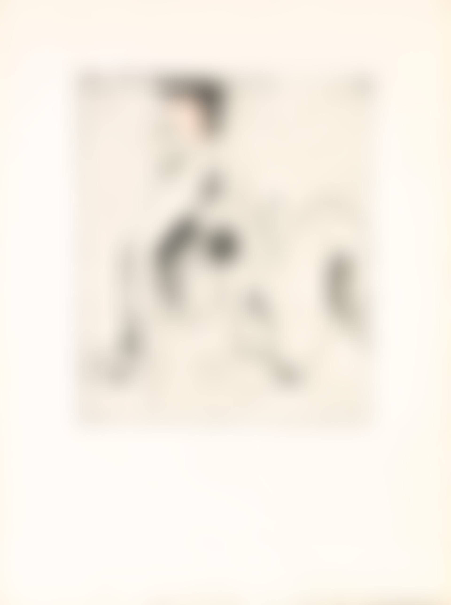 The Swimmer, from Eight Sheets from an Undefined Novel (preview)