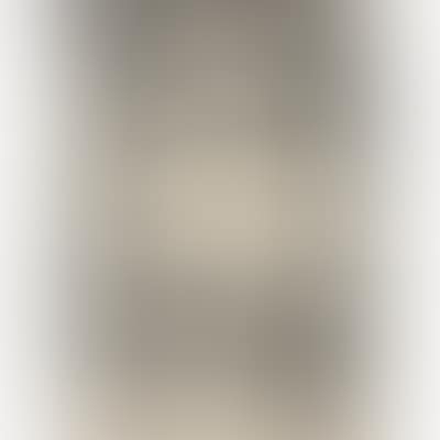 The Barbarian (preview)