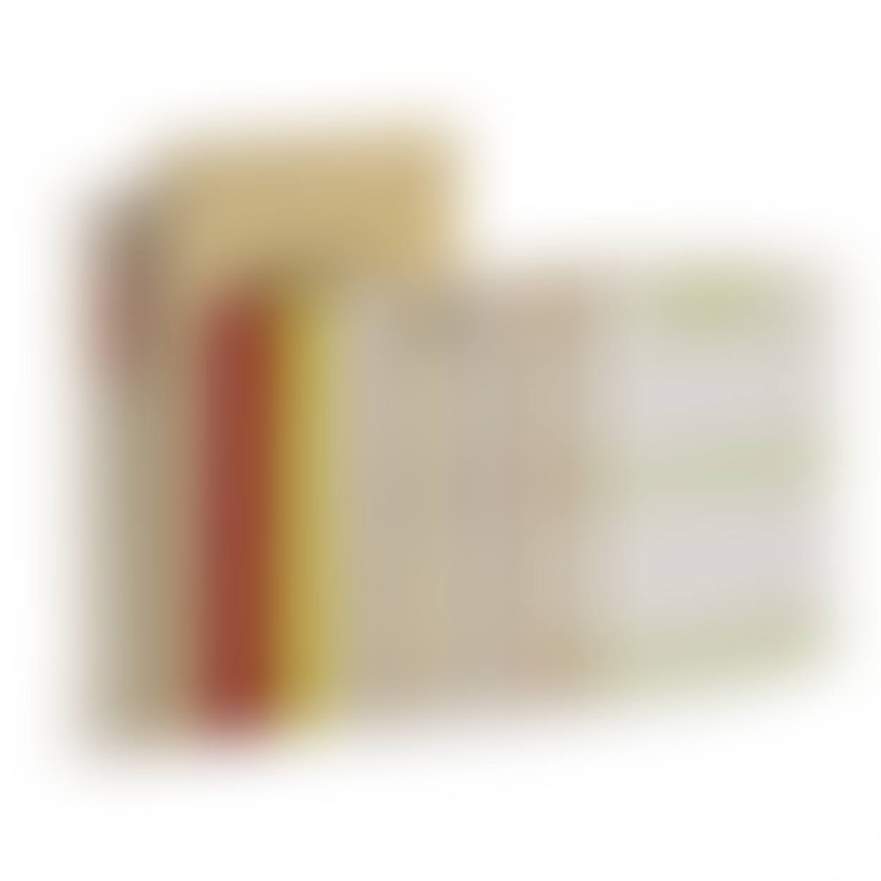 Nine Artist's Books (preview)