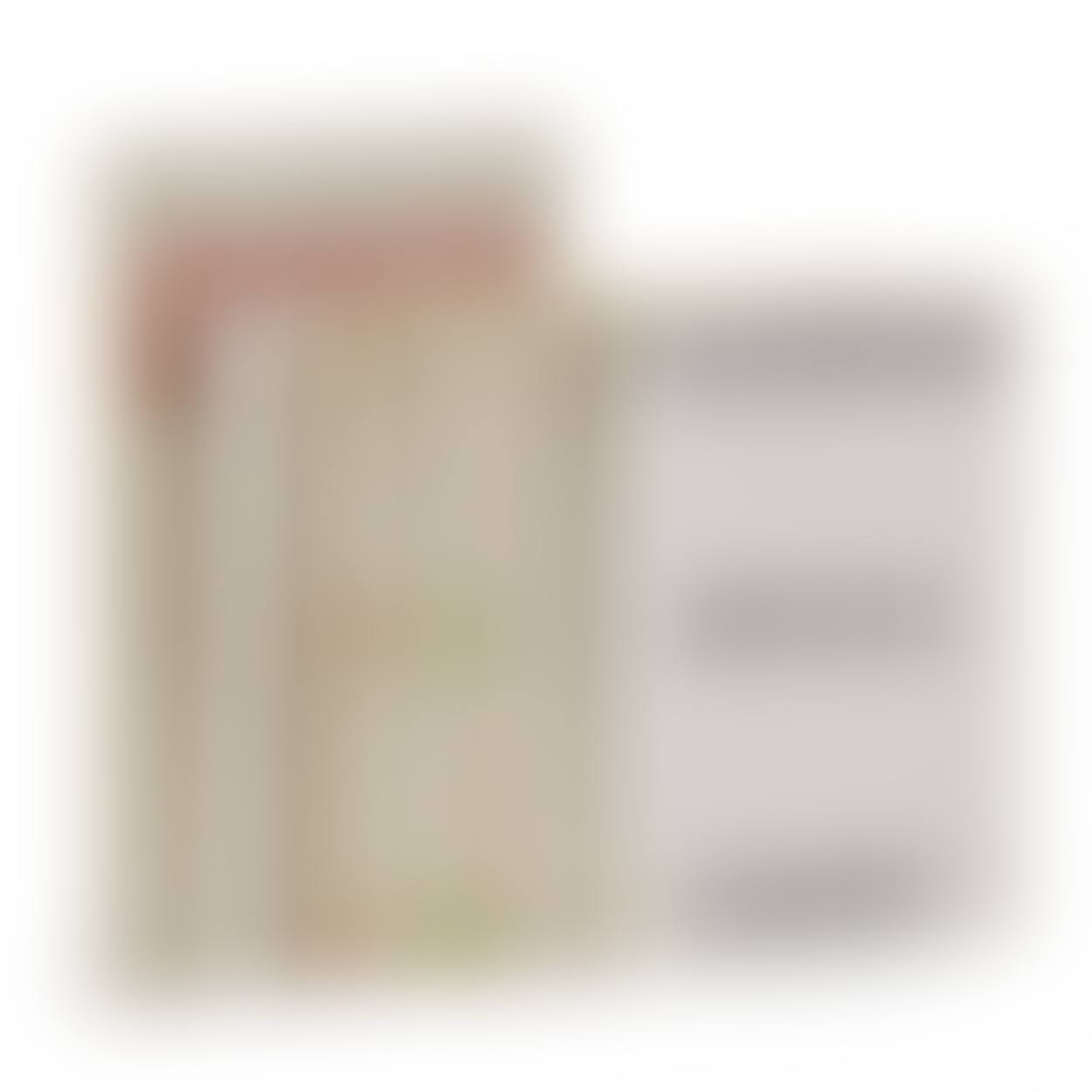 Six Artist's Books (preview)