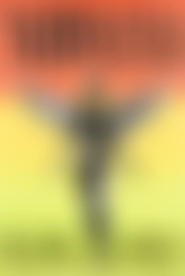 Nirvana Concert Poster (preview)