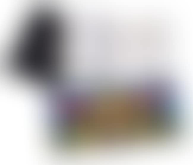 Shared Vision Volume II (preview)