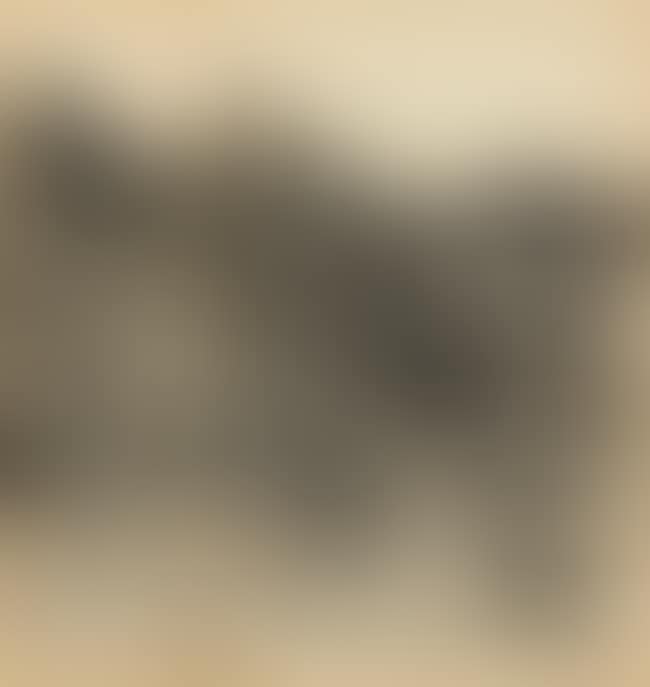 Bracken Field (preview)