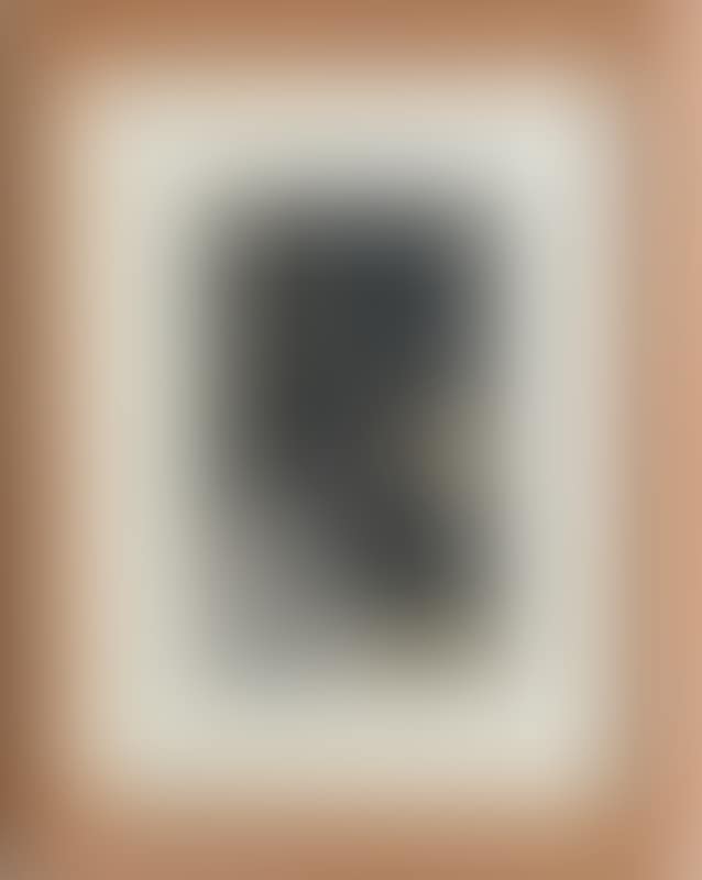UNTITLED (preview)