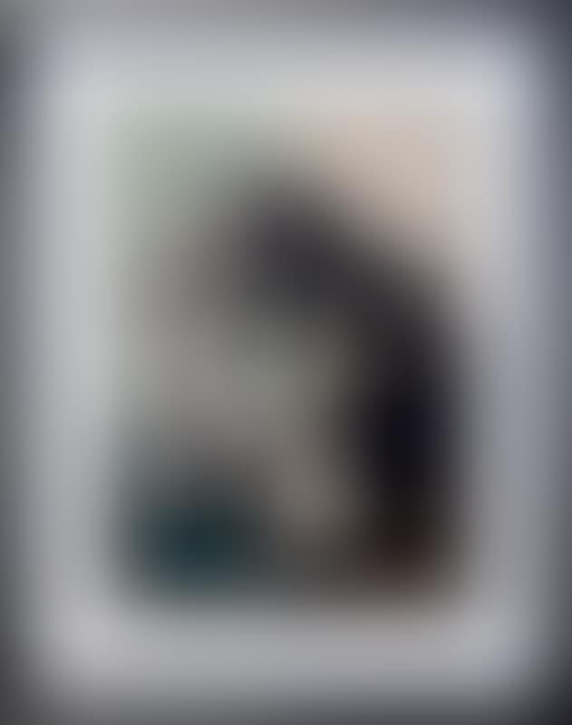 PORTRAIT DE FACE SUR FOND ROSE ET VERT (preview)