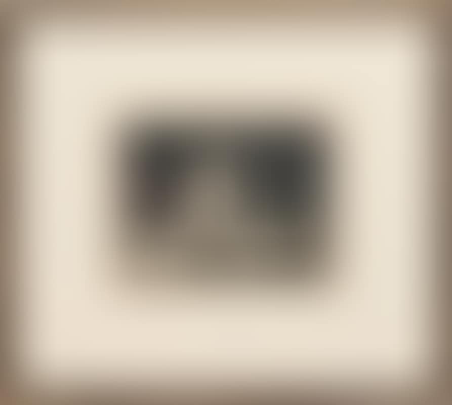 STARLIGHT (preview)