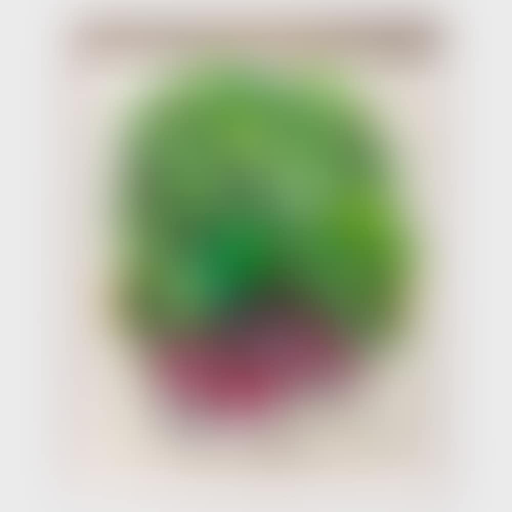 Bunch of Radishes (preview)