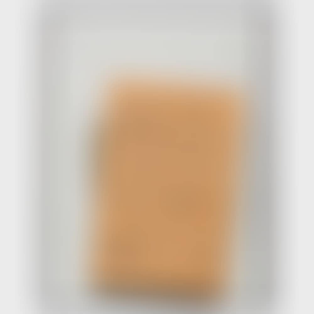 Klee Bauhaus Weimar (preview)