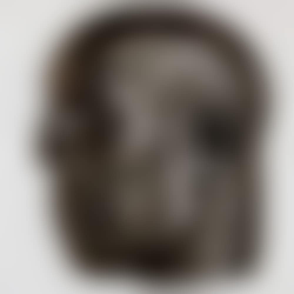 Head from the Real World (preview)