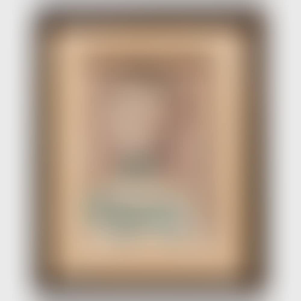 Performer (preview)