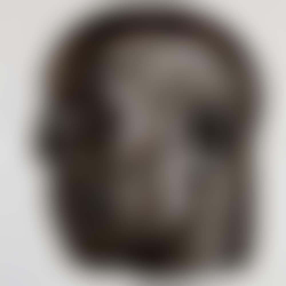 Head from the Real World (preview)