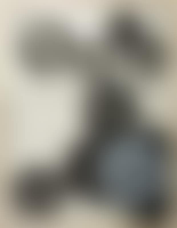MORULA III (preview)