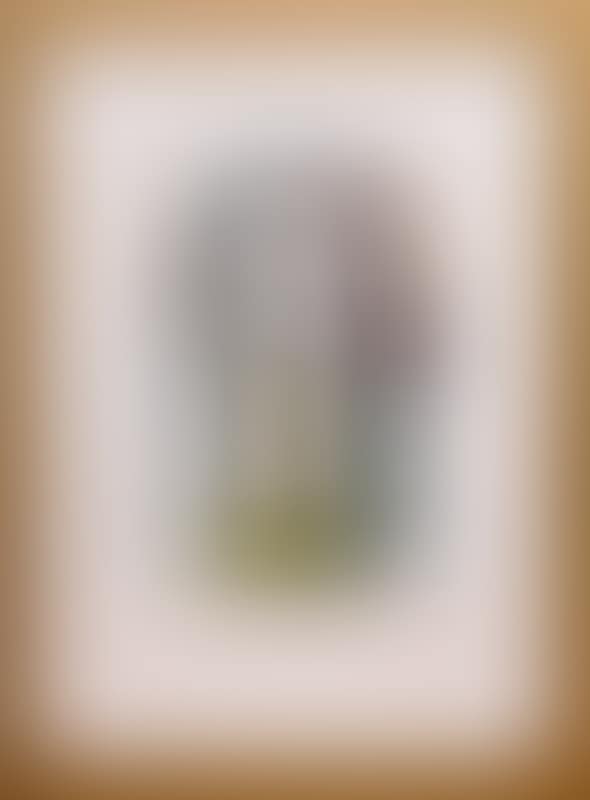 PORTRAIT DE FEMME À LA ROBE VERTE (preview)
