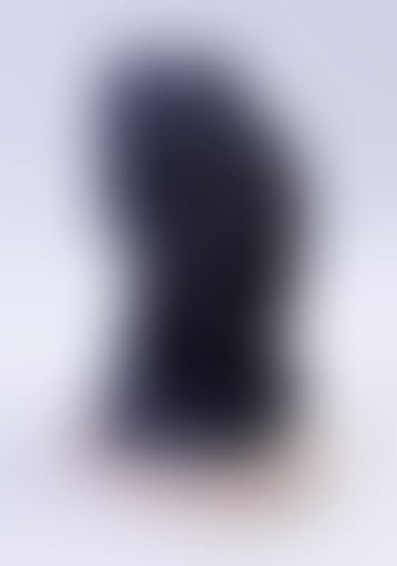 TÊTE DE FEMME (FERNANDE (preview)