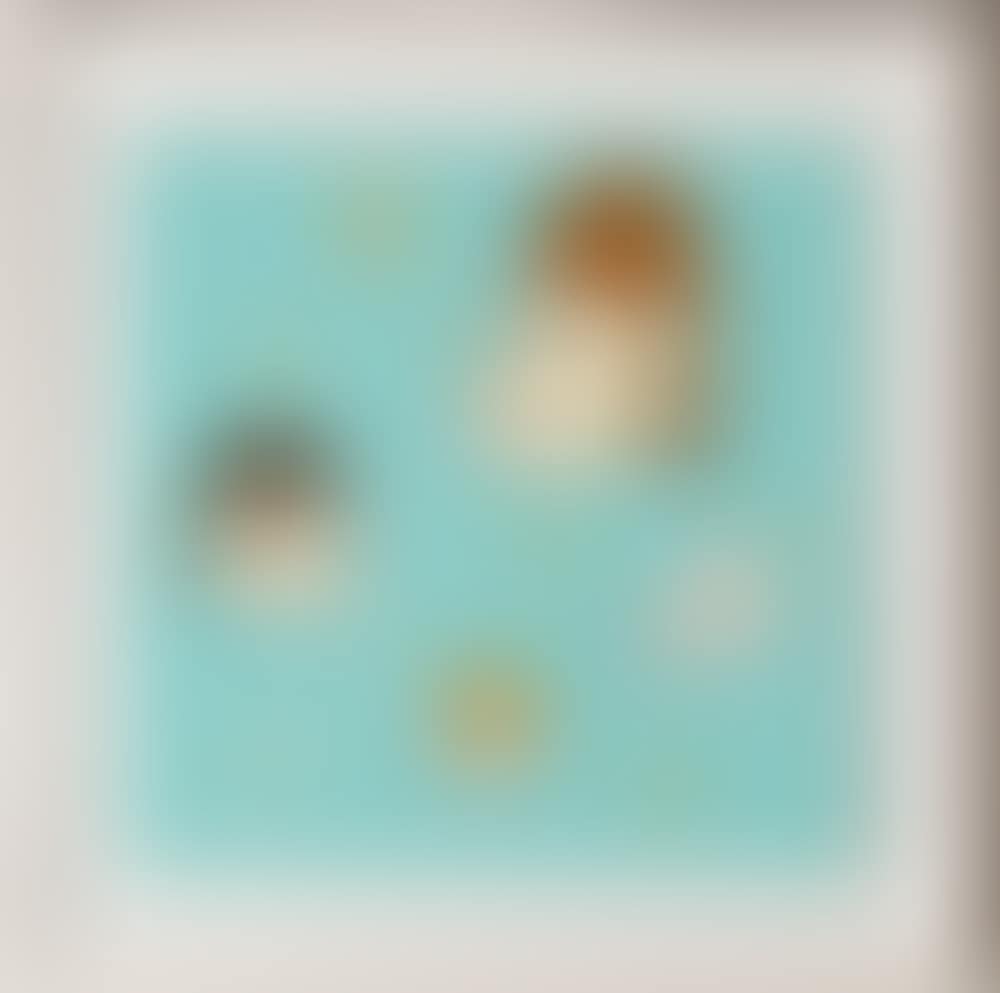 STAR ISLAND (preview)
