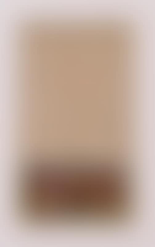 TWO ILLUMINATED MANUSCRIPT PAGES (preview)