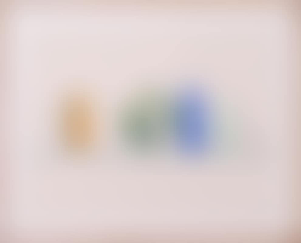 STILL LIFE CABBAGE #73 (preview)