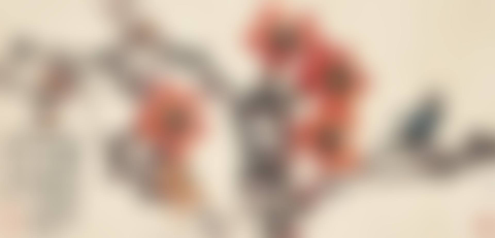 Cotton Tree Flower and Bird (preview)