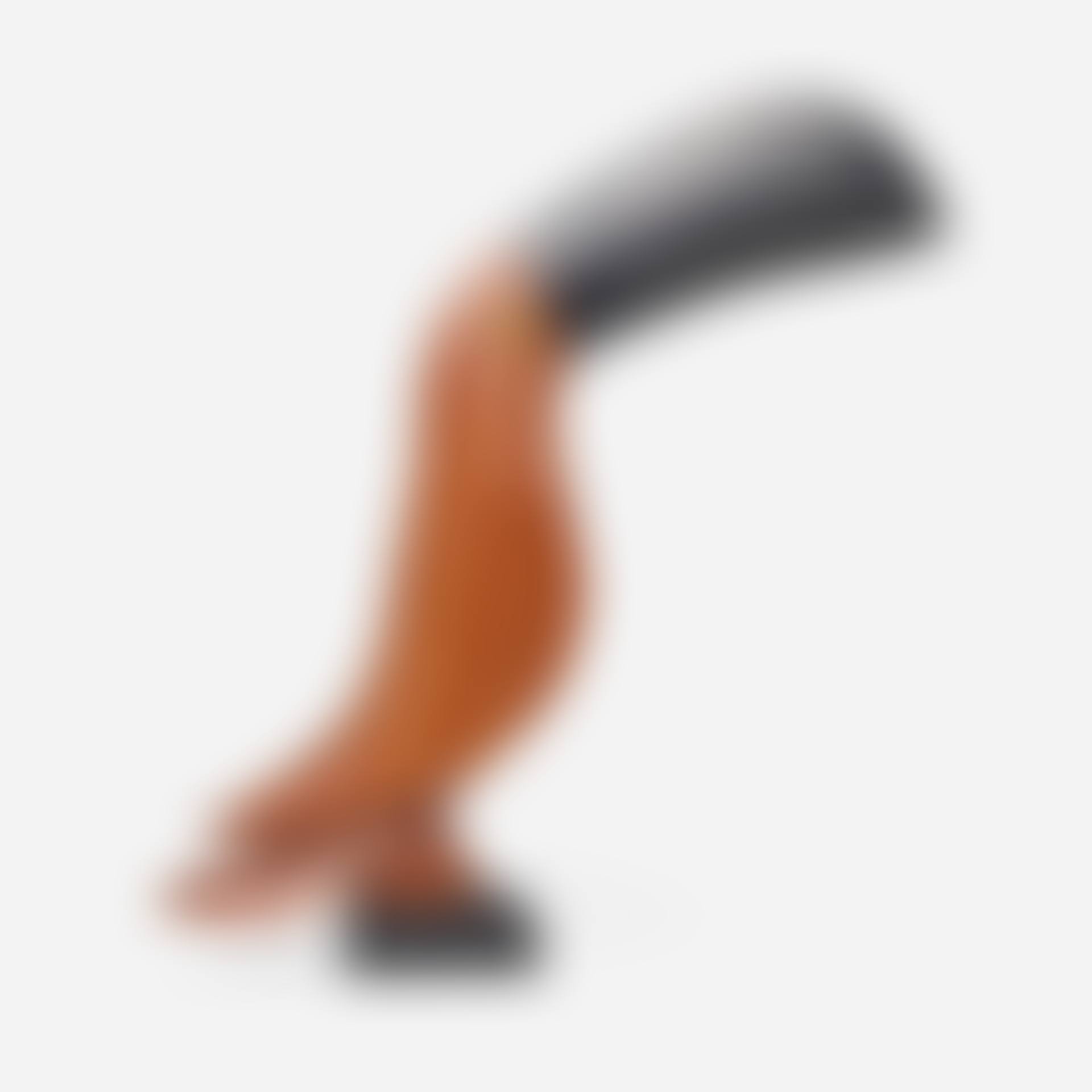 Toucan (preview)
