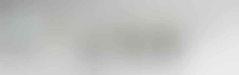 A GROUP OF ELEVEN PLATES (preview)