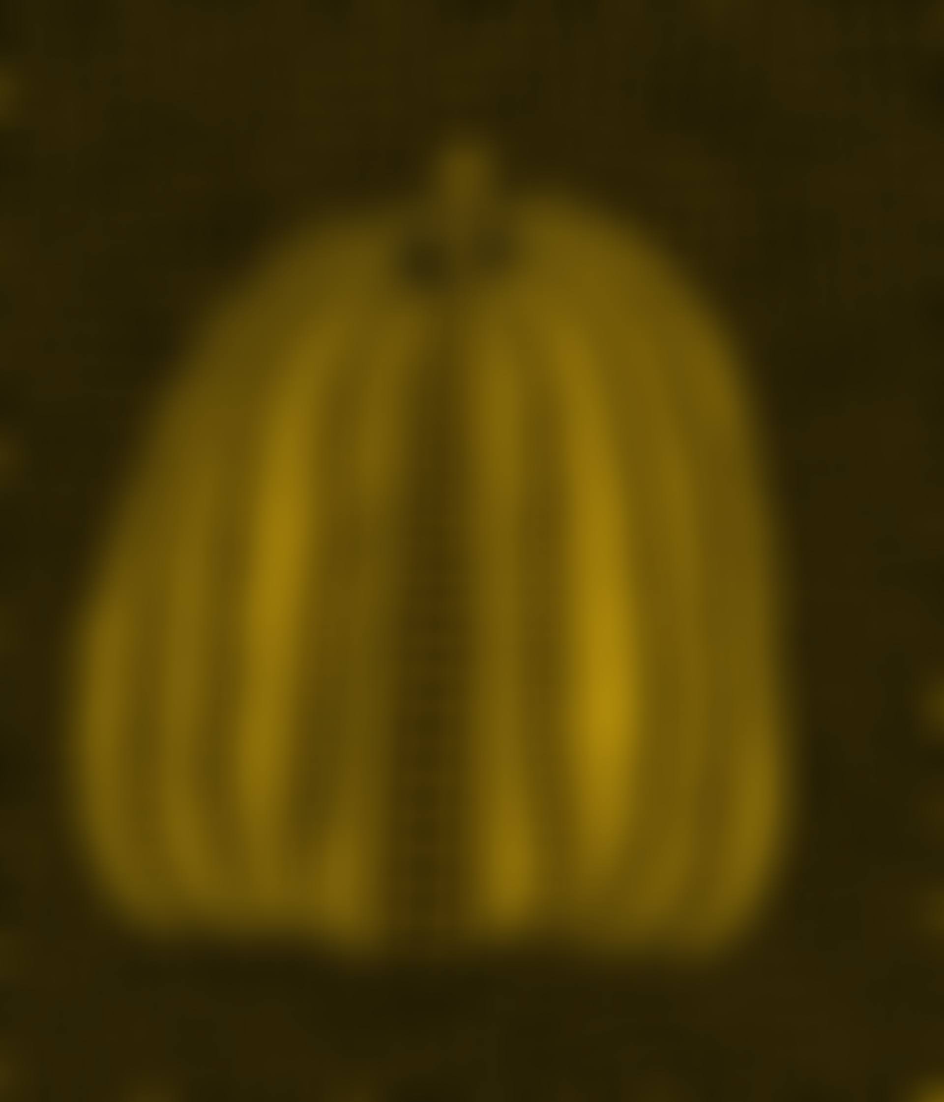 Pumpkin (2) (preview)