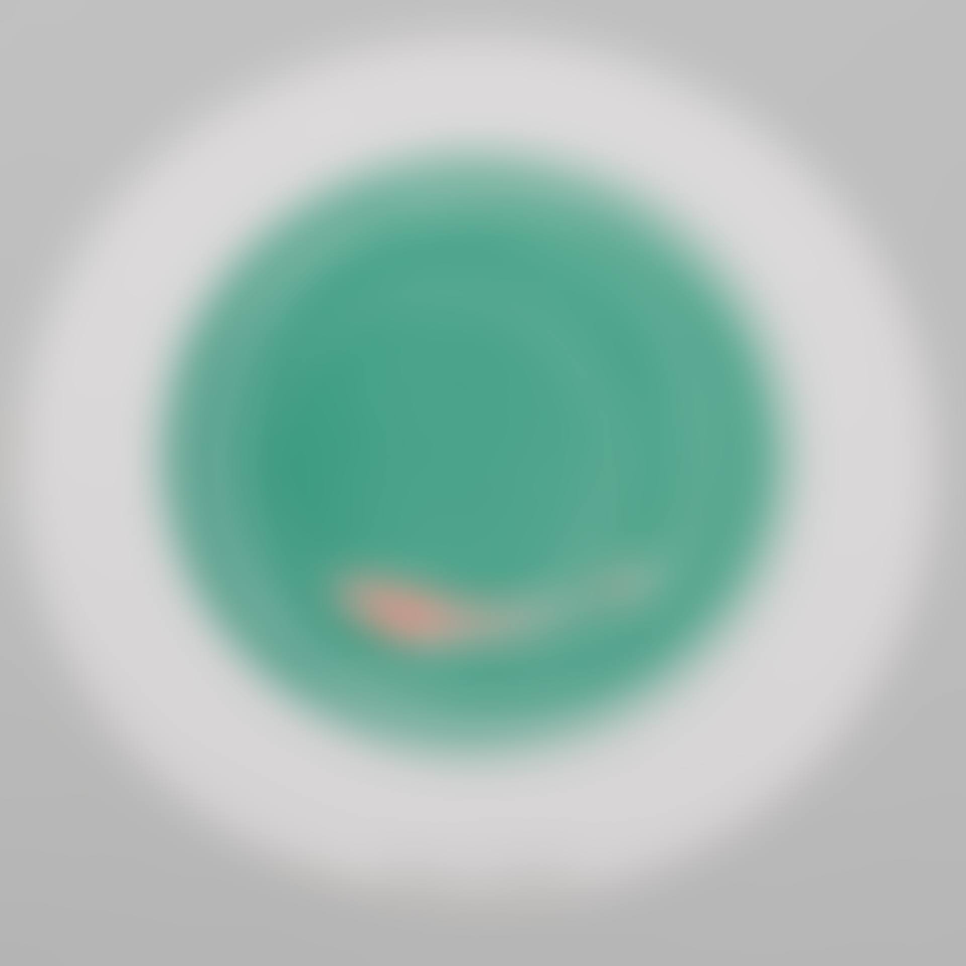 Rotoreliefs (Optical Disks) (preview)