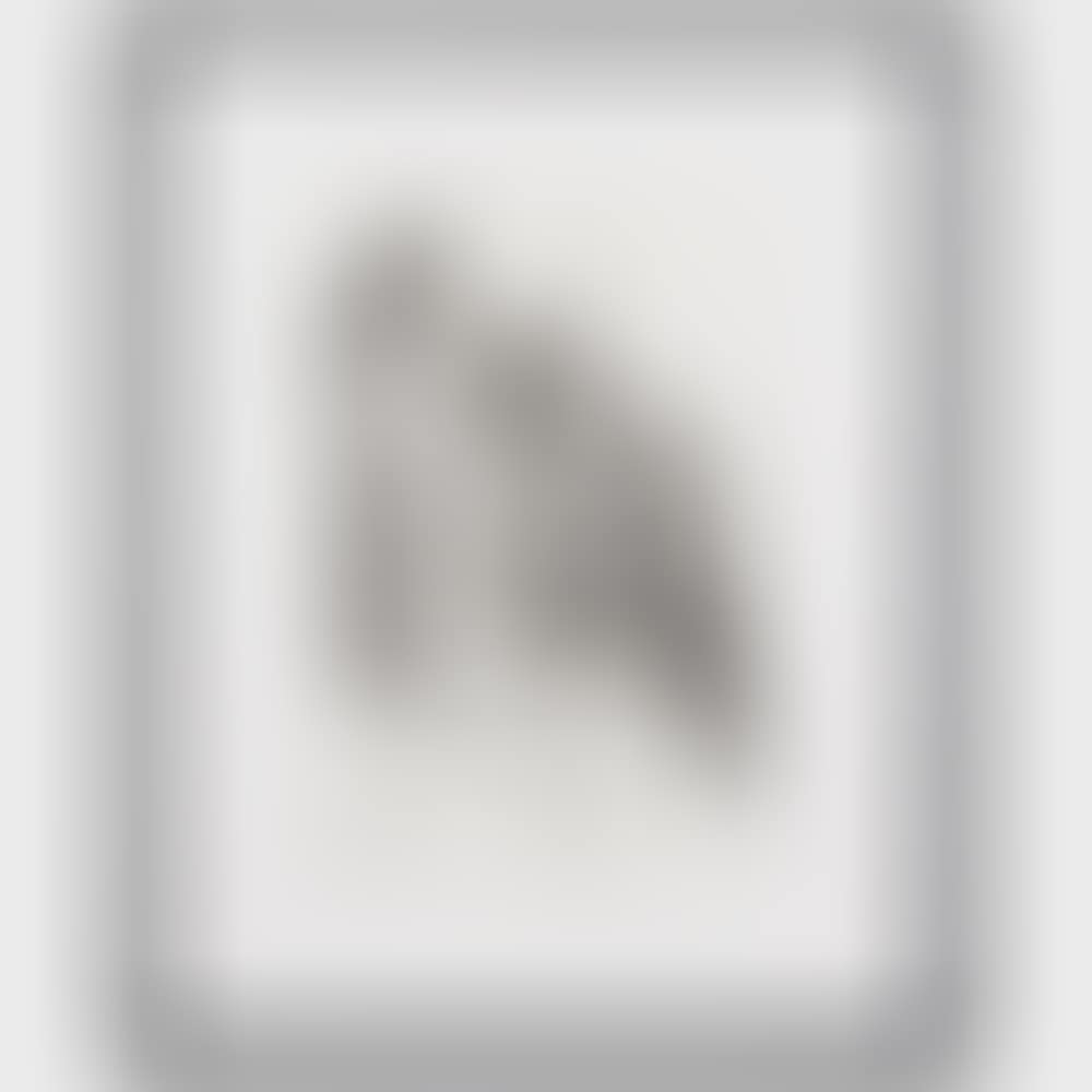New Year's leaf (Libra) (preview)
