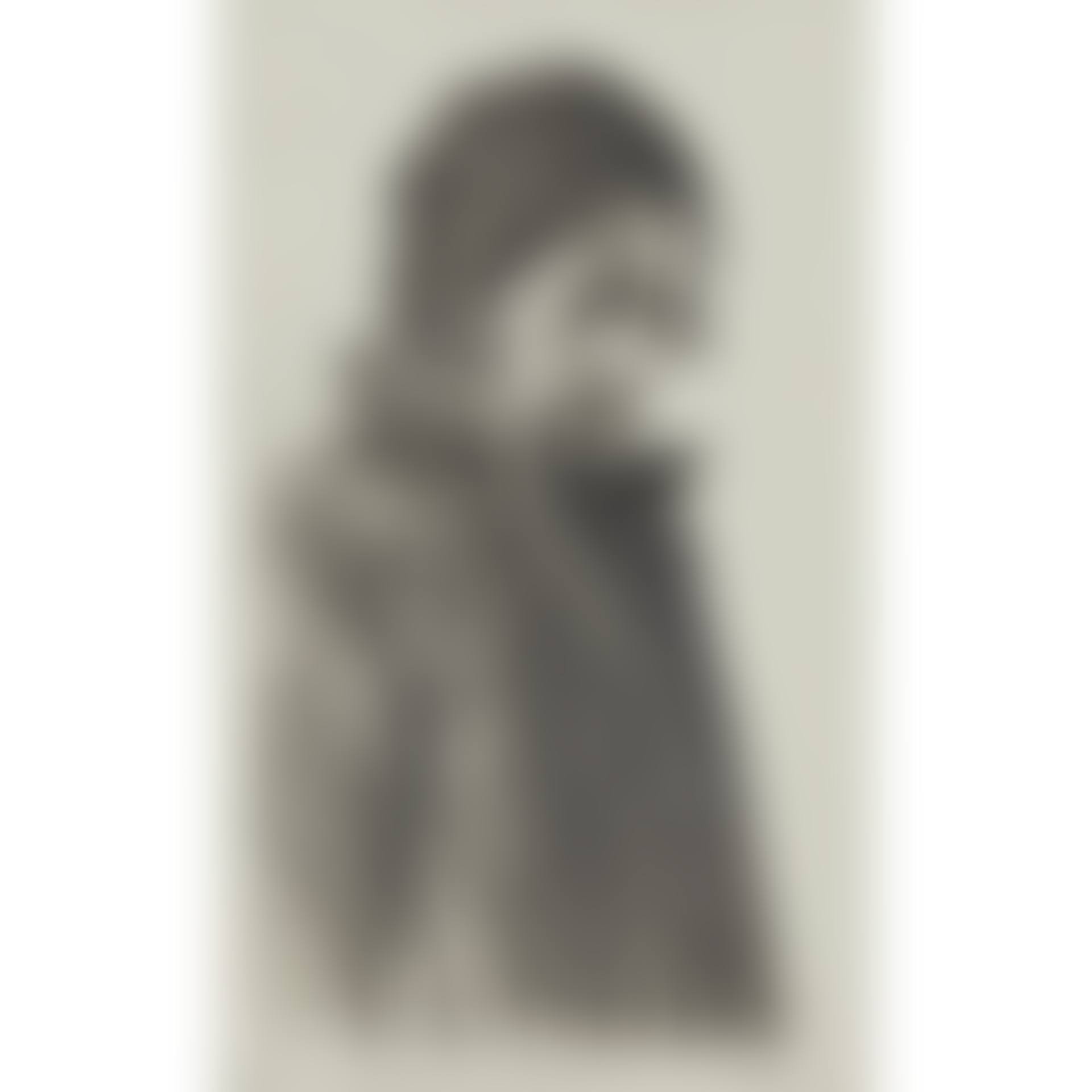 BEARDED 1/2 FIGURE WITH CAP (preview)