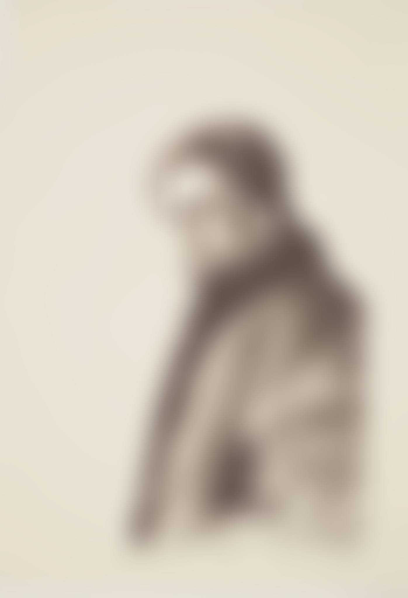 LOOKING OVER LEFT SHOULDER (preview)