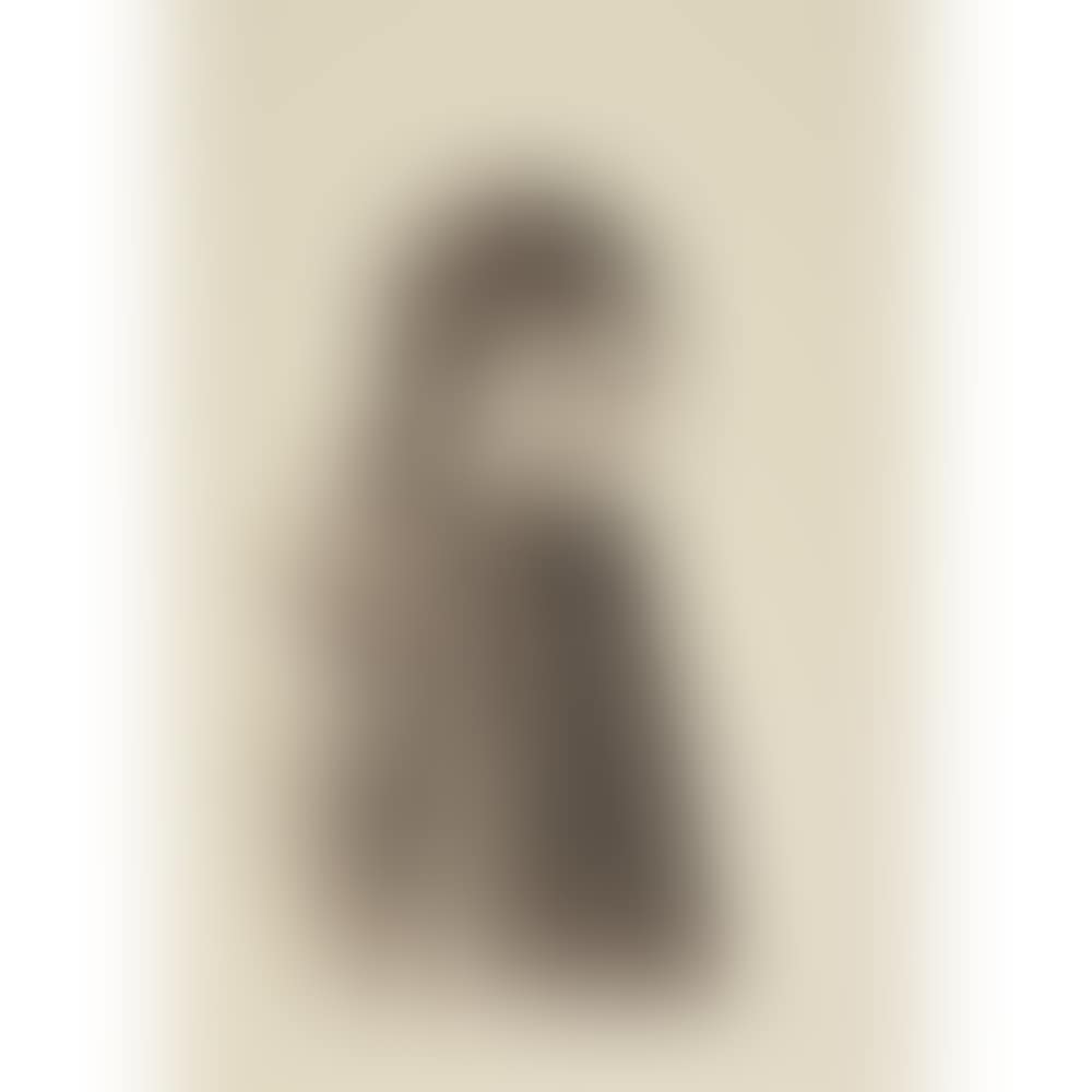 BEARDED 1/2 FIGURE WITH CAP (preview)