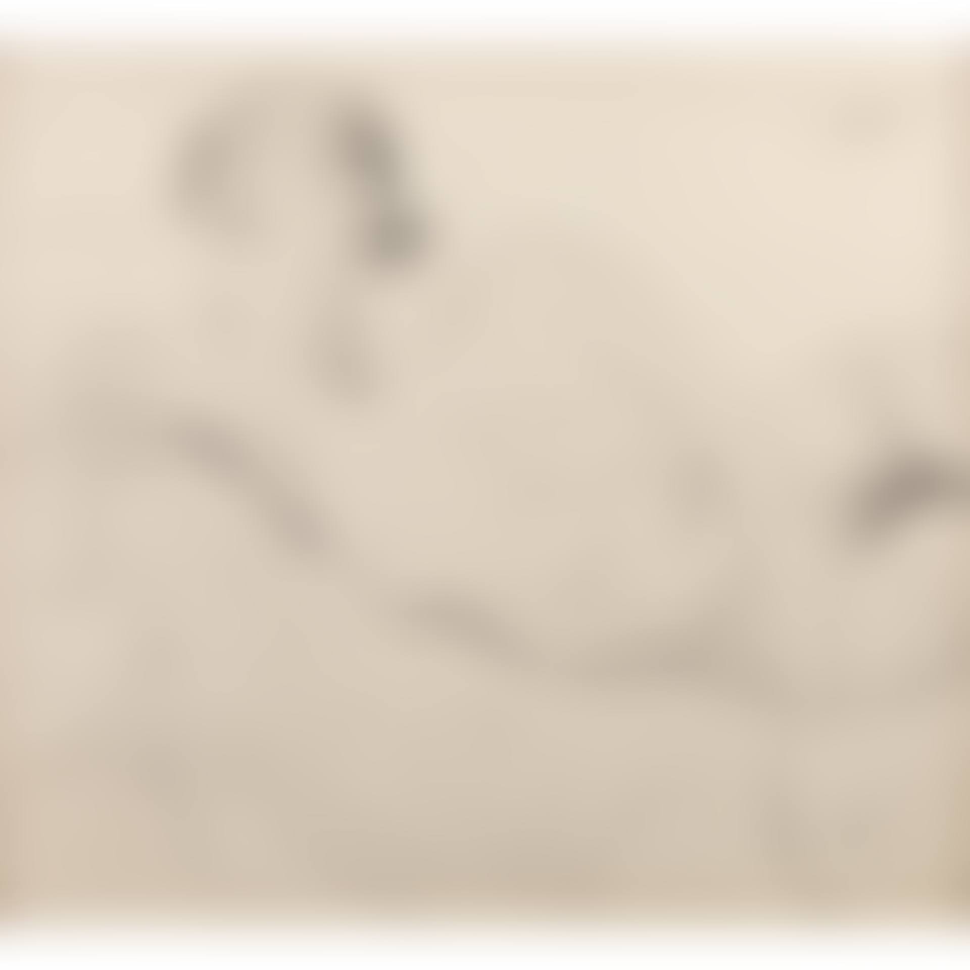 Study of Mrs Betty Joel (La Belle Juive) (preview)