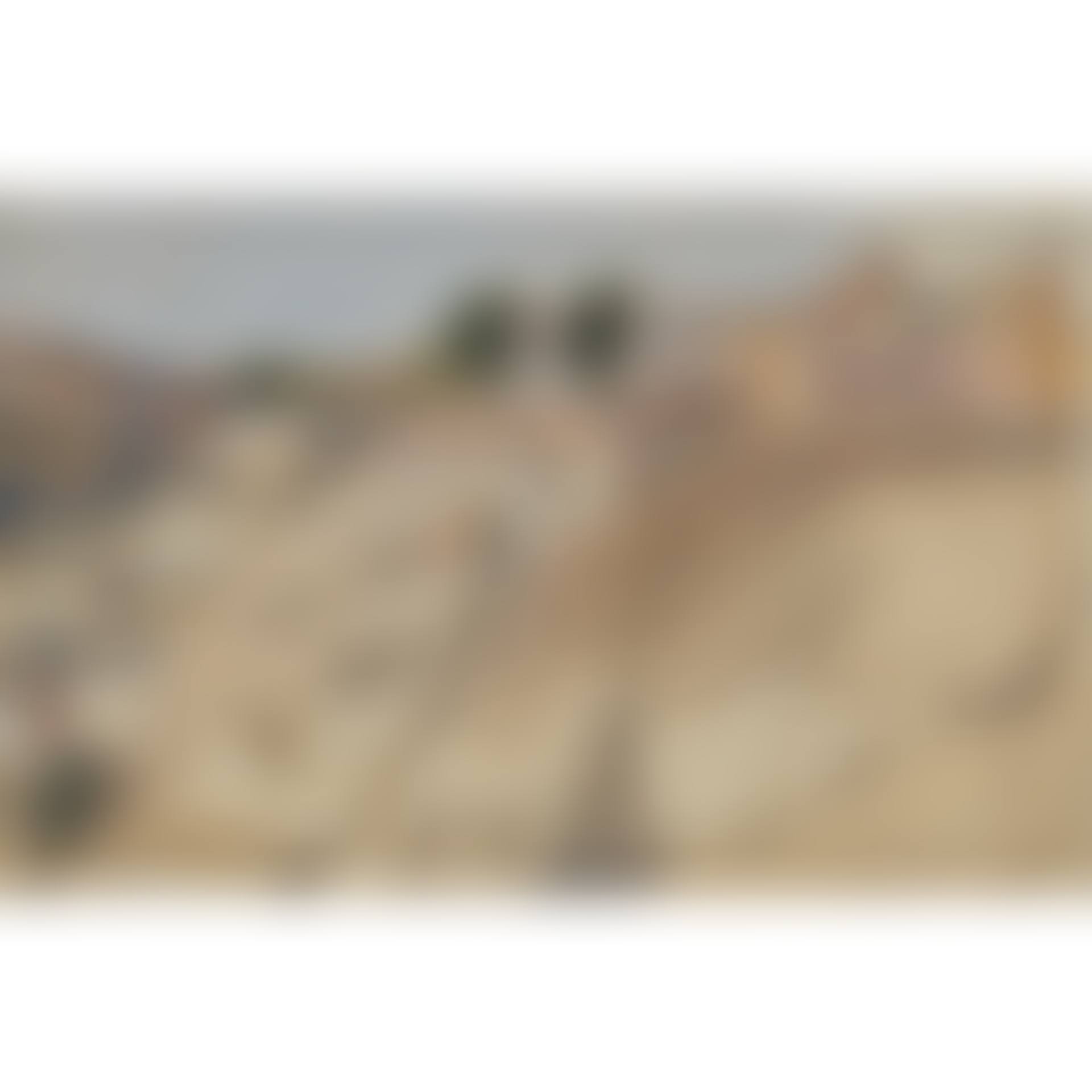 TOLEDO (preview)