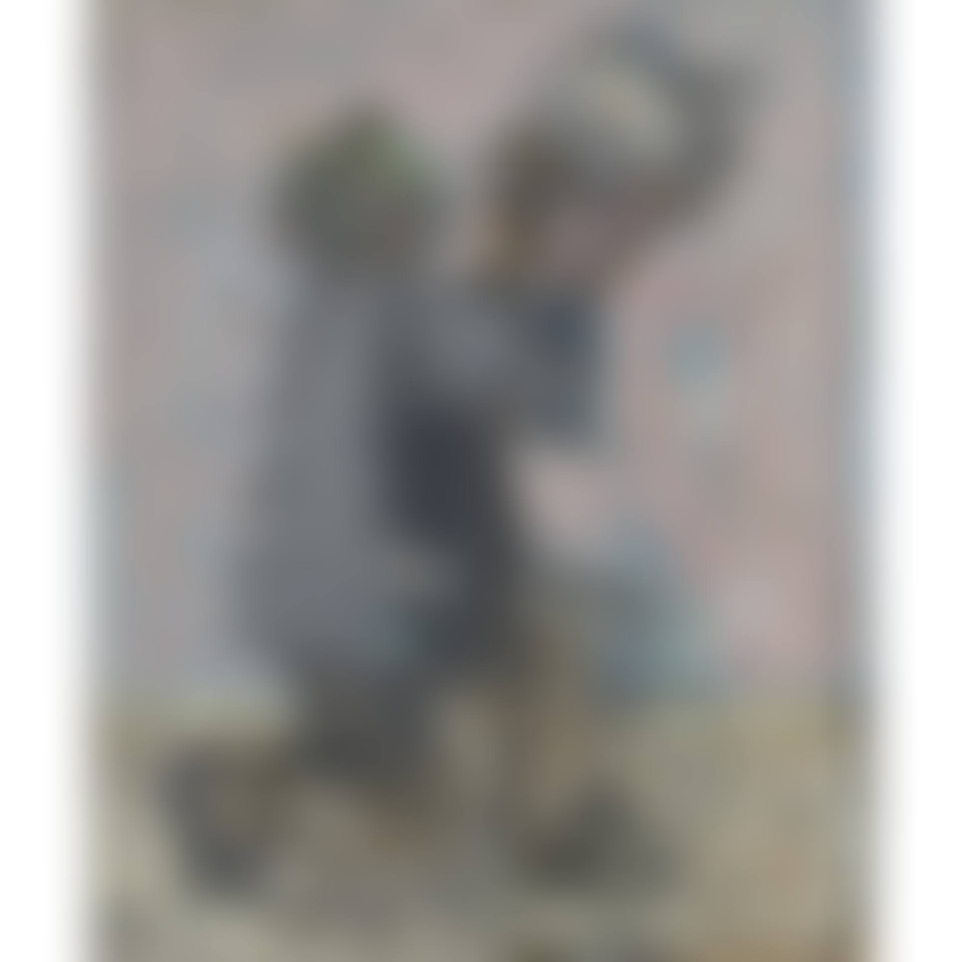 UNTITLED (MAN WITH PIGEON) (preview)