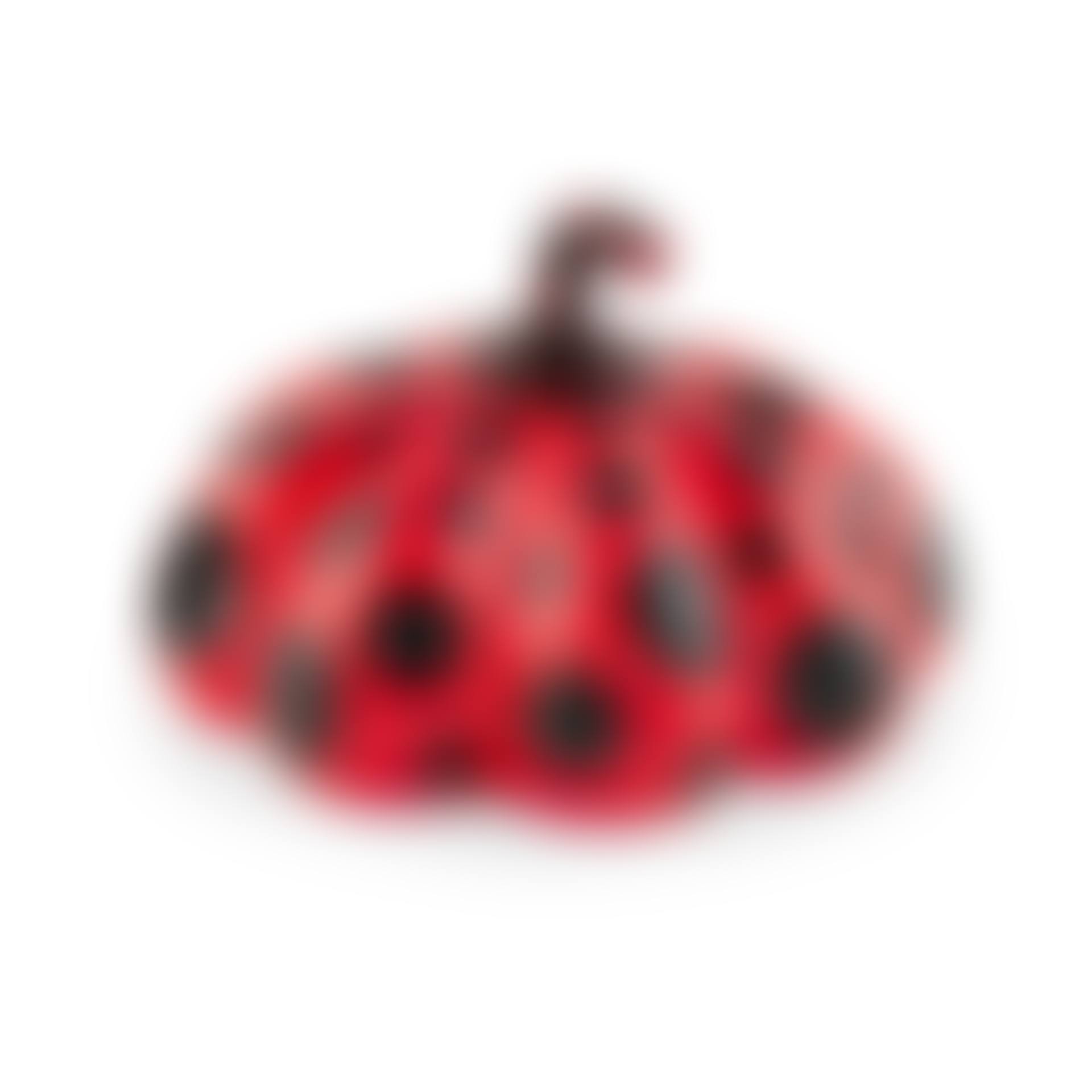 RED PUMPKIN NAOSHIMA (preview)