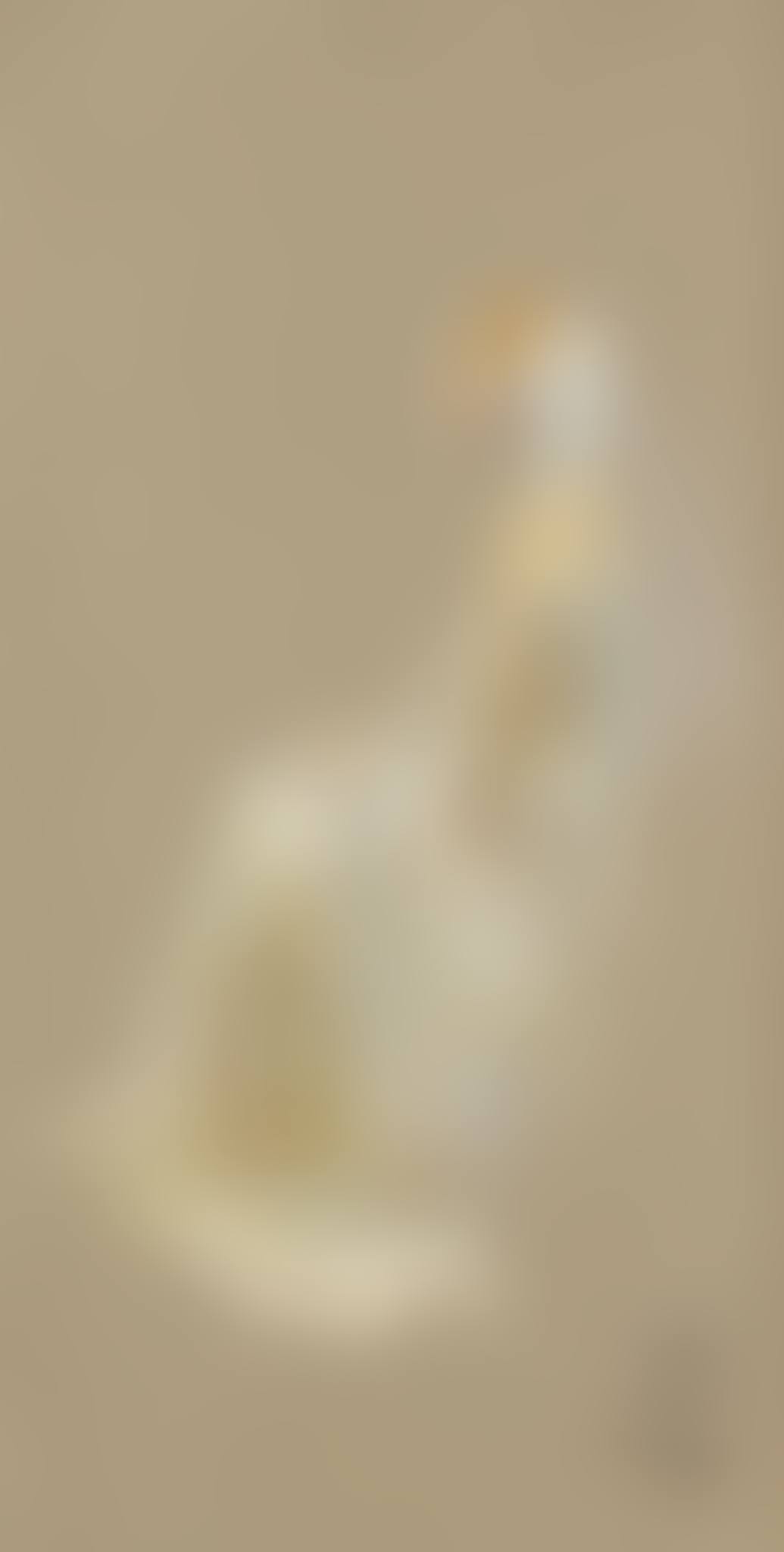 MRS LEO D'ERLANGER (preview)