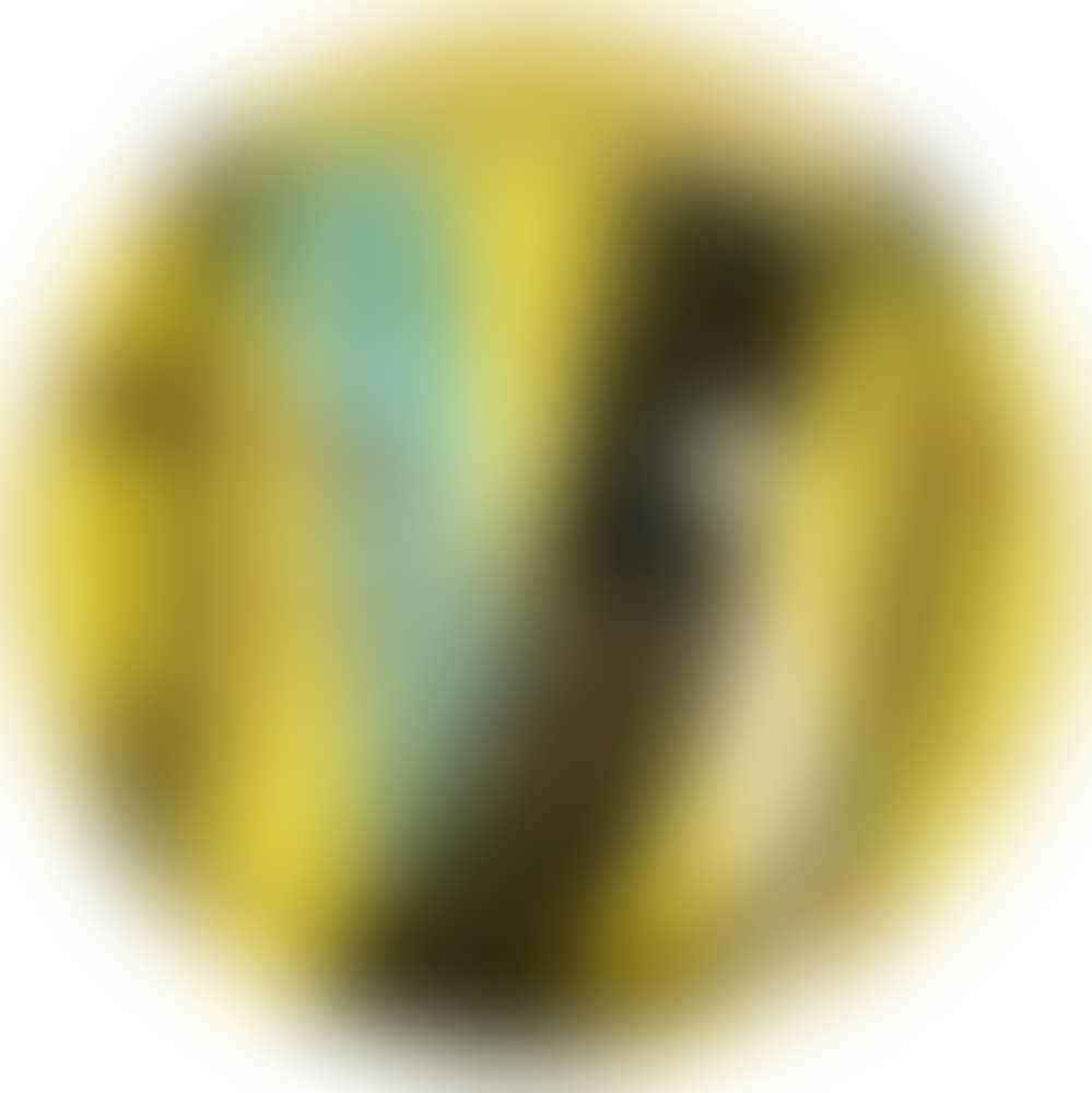 Bowl (preview)