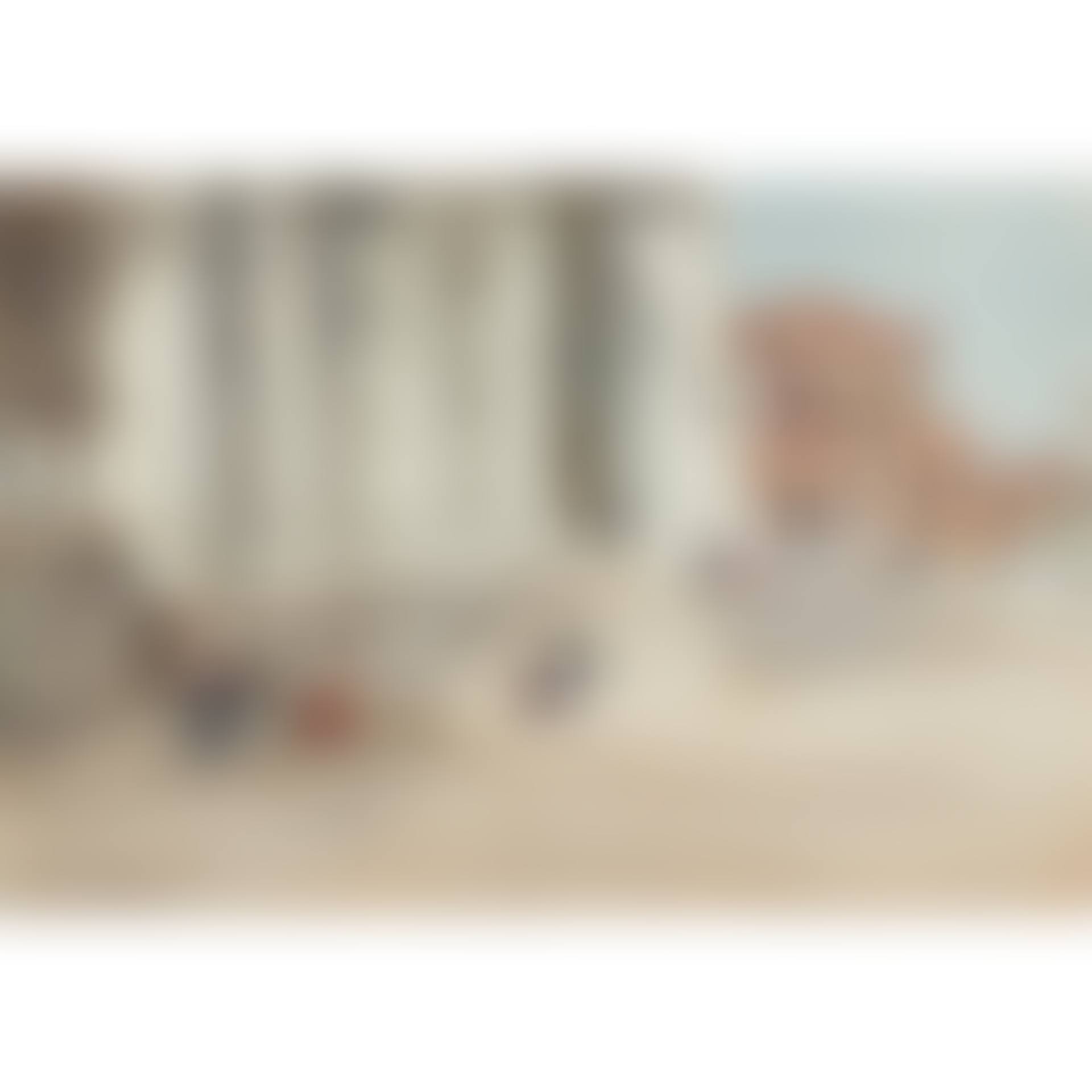 SANTA MARIA DELLA SALUTE, VENICE (preview)