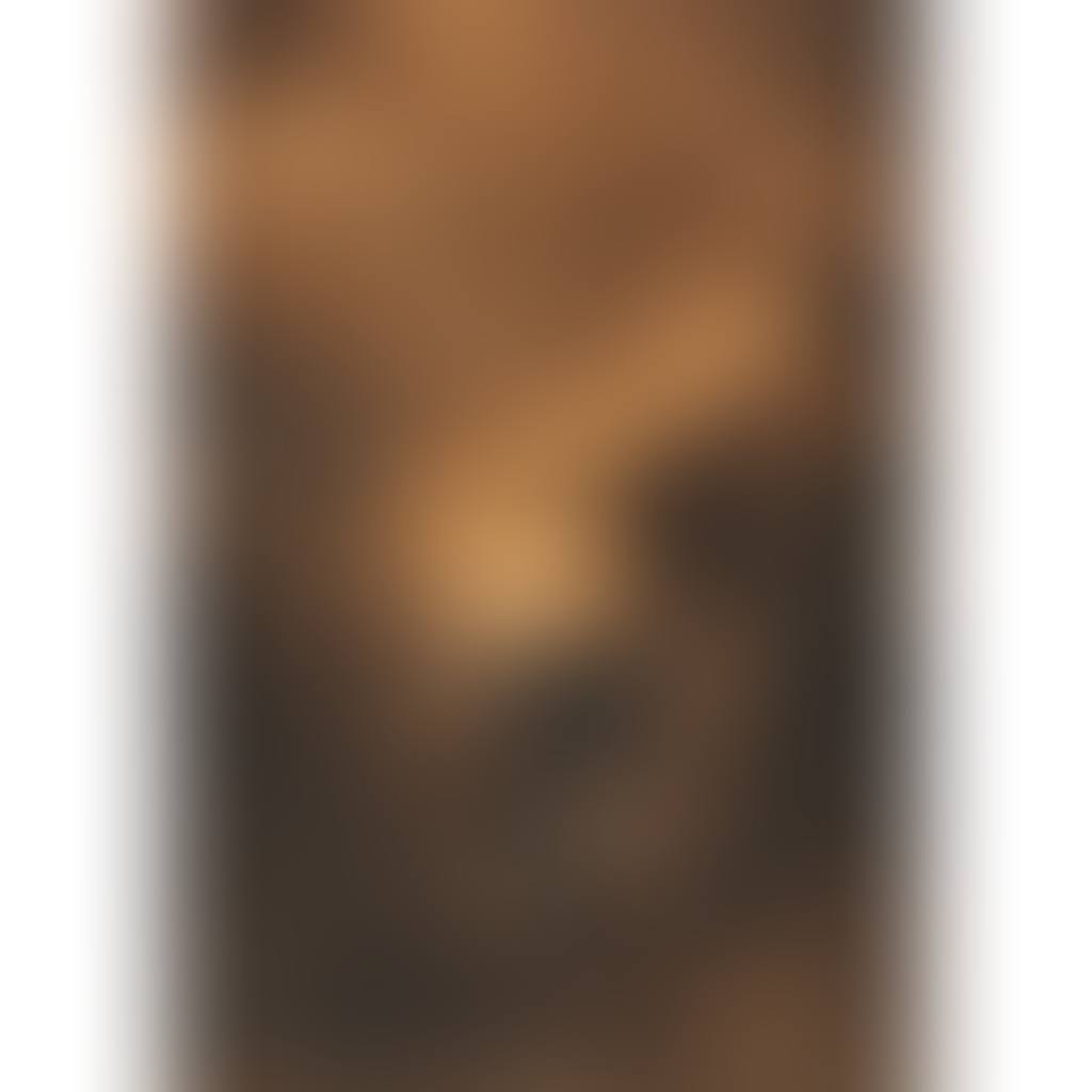 THE VISION OF THE DESCENDANTS OF BANQUO (preview)