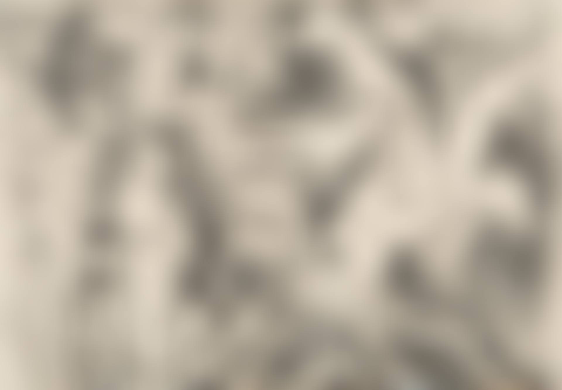 Meurtre, Avec Spectateurs; (B. 1436; Ba. 1466) (preview)