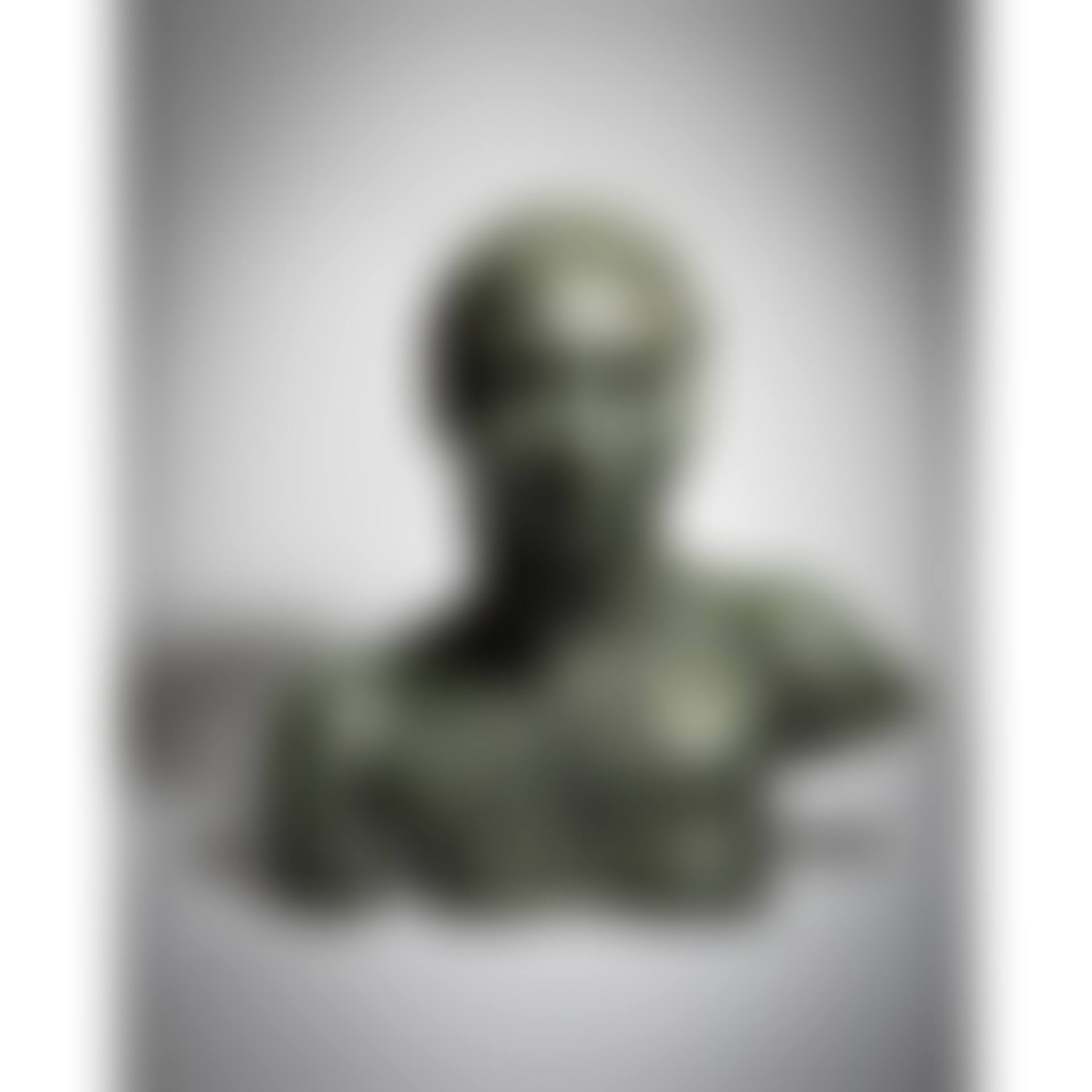 Third Portrait of Sunita (Bust with Necklace) (preview)